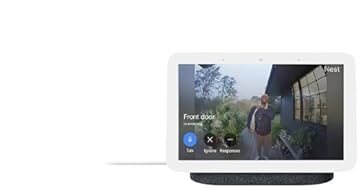 google smart home hub