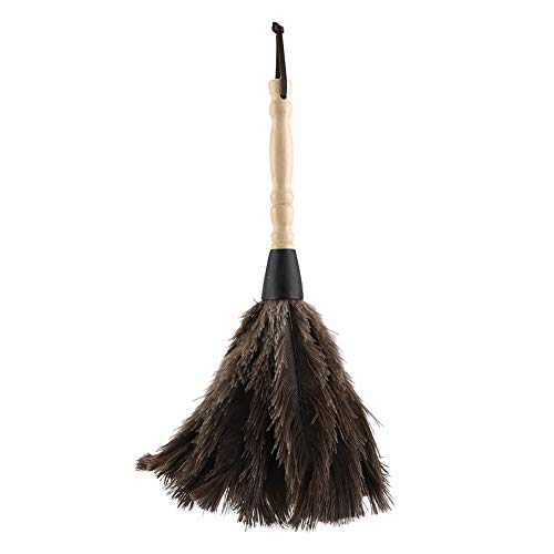 Plumeau en Plumes d'autruche Mini Chiffon réutilisable Lavable de Plume d'autruche Antistatique de la Turquie pour la Maison de Meubles de Livres de Clavier