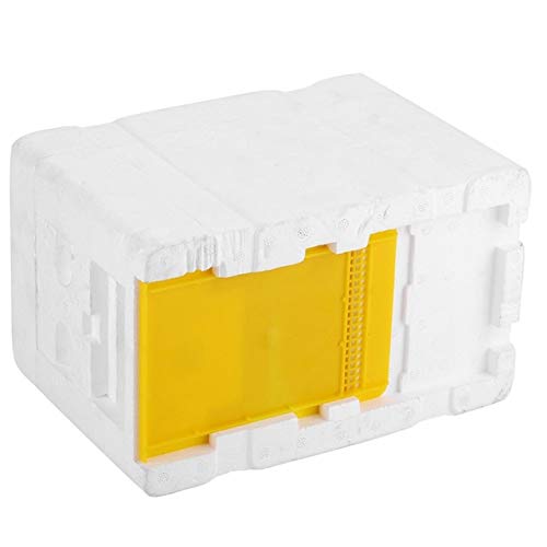 Buy World 1Pc Bee Hive Auto Honey Beehive Frames Beekeeping Kit Bee