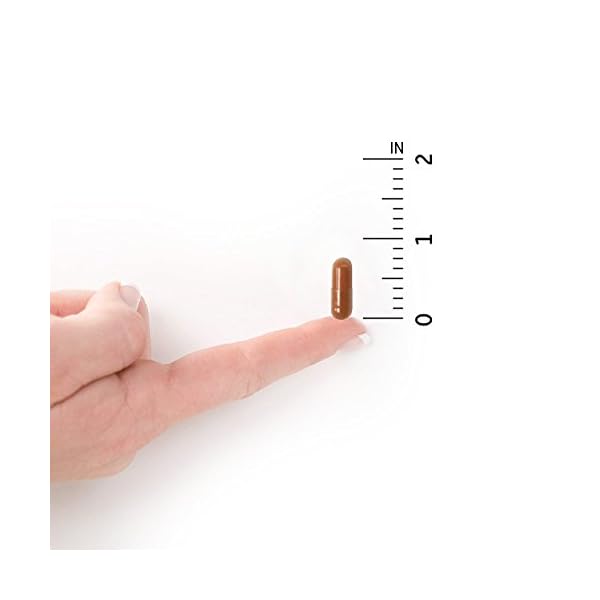 Garden of Life B12 - Vitamin Code Raw - 30 Capsules, 1,000mcg Whole Food Methylcobalamin for Energy, Vegan B12 Vitamin plus Probiotics & Enzymes, Gluten Free Supplements