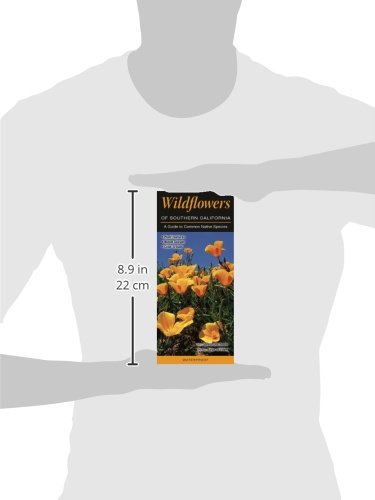 Wildflowers Of Southern California: A Guide To Common Native Species (Quick Reference Guides) #TOP1