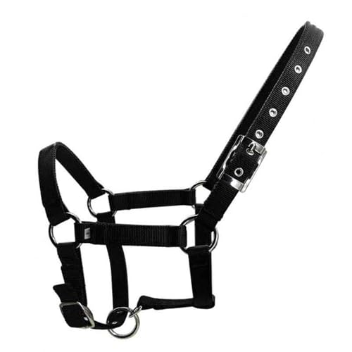 Licol pour chevaux ergonomique et confortable en nylon noir taille XL