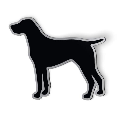 Imán Decorativo German Shorthaired Pointer 3" miniatura 1