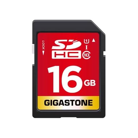 Gigastone 16GB Class 10 SD Card Cover