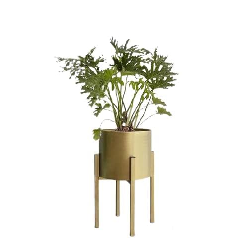 MWAH Iron Metal Indoor Out Door Garden Home Decor Flower Planter Pot Stand For Living Room Bedroom Balcony with White Iron Pot Size- 17x30 cm (12 Inch) (B0D8ZPTPNW) Amazon Price History, Amazon Price Tracker
