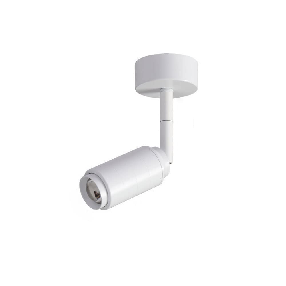 BHGFYXBS Adjustable Ceiling Spotlight Led Surface Mounted Accent Spot Light Adjustable Wall Swivel Lamp, Aluminum Gallery Picture Lights & Mini Accent Spotlights For Corridor,White3000k-10W