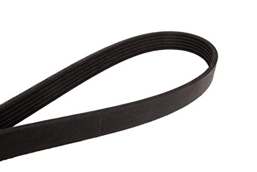 Correa Multi-V Continental 4061250 OE para motor de coche 3
