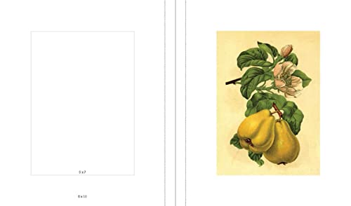 Image of Instant Wall Art Vibrant Botanical Prints: 45 Ready-to-Frame Illustrations for Your Home Decor (Home Design and Decor Gift Series)