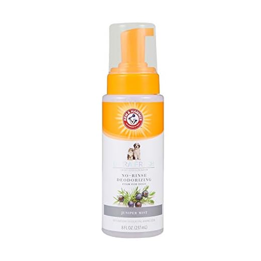 Arm & Hammer Ultra Fresh No Rinse Deodorizing Foam for Dogs, Juniper Mist, 8 Oz | Waterless Dog Shampoo | Baking Soda Neutralizes Bad Odors for an Advanced Clean