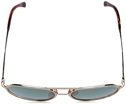 David Beckham DB 7095/G/S AOZ MATTE GOLD 58/18/150 MAN Sunglasses4