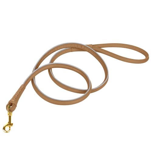 Laisse réfléchissante en cuir durable OOPSDOGGY pour chien L