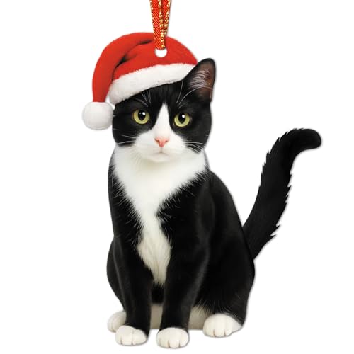 JUESMOS Tuxedo Cat Christmas Ornaments 2025-2D Acrylic Pet Ornaments for Christmas Tree Decorations - Cat Mom Lady Lovers Gifts - Cats Xmas Ornament Keepsake Gifts for Kids Women Men Pet Lover