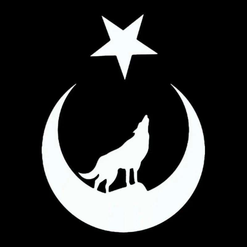 CHSLO Créatif Loup Et Lune Étoile Grande Dinde Turquie Voiture Turque Autocollant Accessoires Imperméable Crème Solaire Vinyle Décalcomanie