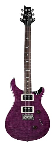PRS SE Custom 24 Exclusive with Gig Bag, Amethyst