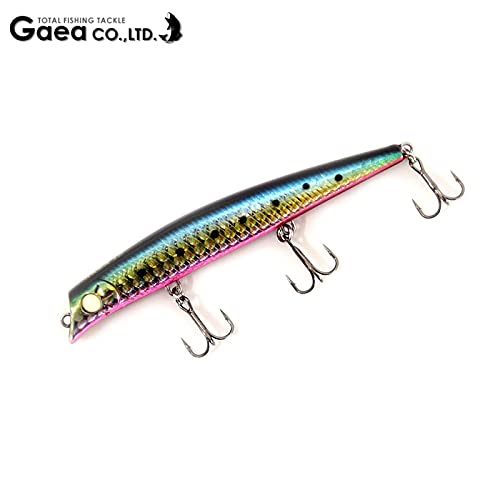 Amazon.co.jp: ガイア エリア10 問屋別注カラー GAEA AREA10【1】 08