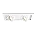 WAC Lighting MT-5LD225T-F27-WT Trims for 2 Light Tesla LED Multiple Spot, Flood, 2700K