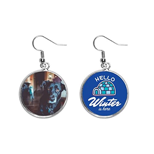 Pendientes de perro negro ligeros y colgantes con diseño de gota de hielo resistente