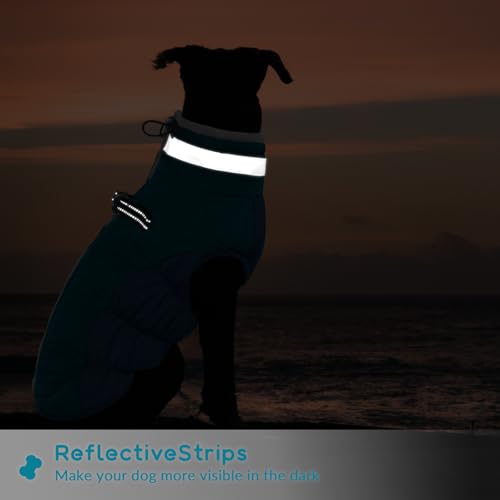 PUMYPOREITY Hunde Wintermäntel, Hundejacke mit Innenfleece wasserdichte Kleine Hunde Winterweste Hundepullover Fashion Sports Hundemantel(Dunkelgrün, XL)