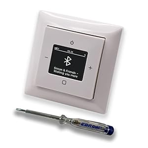 Busch Jäger 8217U-101 Unterputzradio Komplett-Set