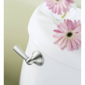 Image of Moen DN6801BN Sage Inspirations Toilet Tank Lever, Brushed Nickel
