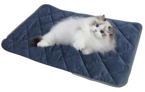 ybgp zbg}bg h g  L q[^[ ̉Œ~M Iۉ dCsp ӂӂ  xbh }bg 􂦂 ΍ObY 40×50cm (u[)