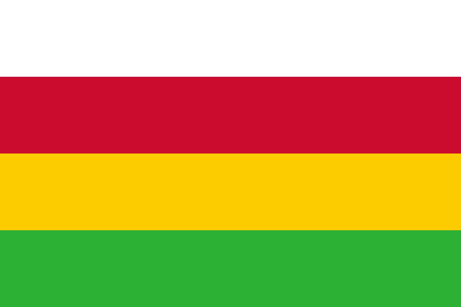Drapeau XL Dantumadeel résistant au vent pour mât extérieur de maison