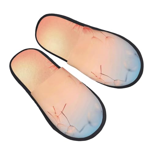 The Sunset Of Dandelion Print Women Slippers Home Furry Shoes Keep Men Couples Shoes Warm For Women-2