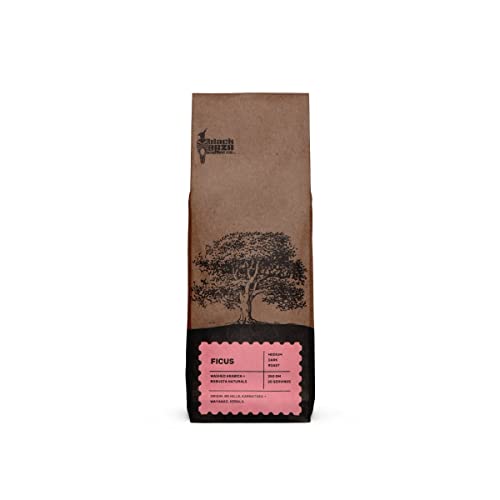 Black Baza Coffee, Ficus, Medium-Dark Roast, Freshly Roasted, Organic, Blend of Arabica & Robusta (Whole Beans, 250 grams)