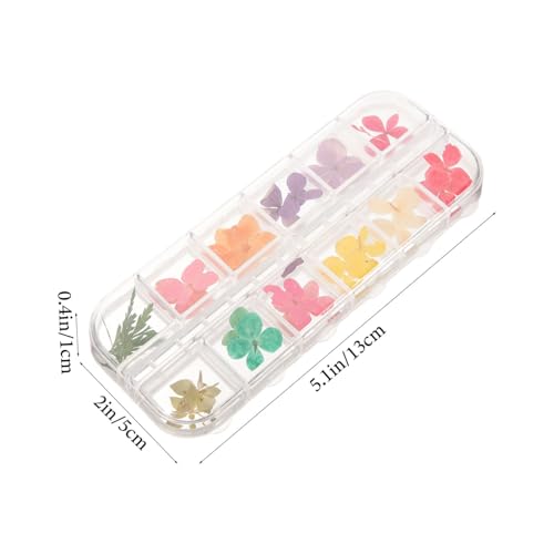 Kit de Manualidades Alipis con Flores Secas para Resina miniatura 2