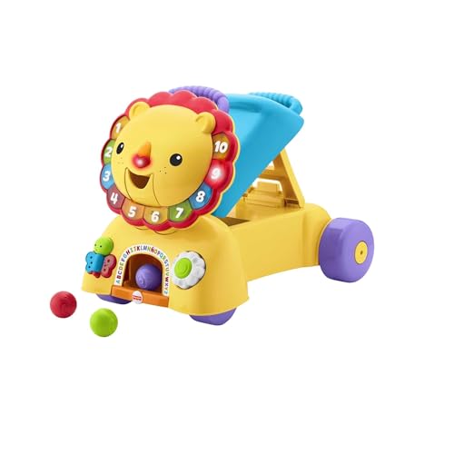 Brincolin Para Bebes Fisher Price