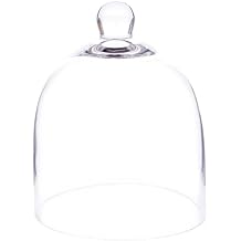 Plymor 6" x 7" Bell Jar Glass Display Dome Cloche Small - Interior Size 5.75 inch x 5.75 inch