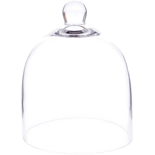 Plymor 6" x 7" Bell Jar Glass Display Dome Cloche (Small - Interior Size 5.75 inch x 5.75 inch)