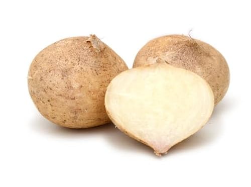 Nouveau frais 25pcs graines de légumes de haricots d'igname