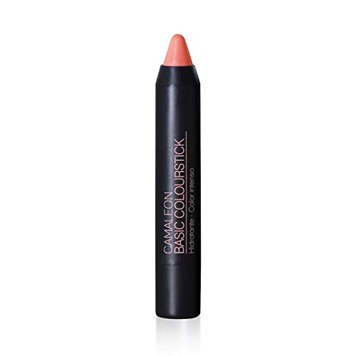 Camaleon Cosmetics - Basic Colourstick Nude - Pintalabios Mate - Larga Duración - Con Aloe Vera y Rosa Mosqueta - Hidratante - Color Nude - Vegano - 1 Unidad - 4gr