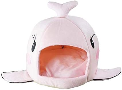 whale cat bed