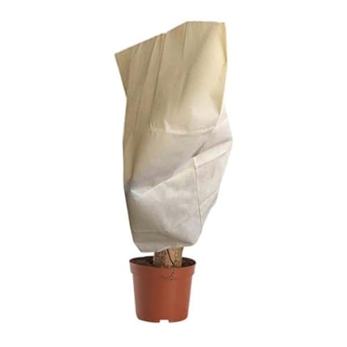 KiBcsLic 6x Jo[ėp\ȑh~sDzt[cbVK[fp