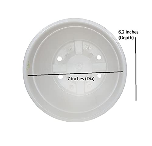 Image of Wonderland 8 inch Set of 3 Big Planter (Plastic Pots for Home Plants) (White)
