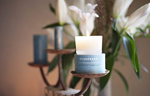 Scentered Escape Scented Candles Gifts For Women - Aromatherapy Candle With Clove, Oud, Cedarwood Essential Oil - Mindfulness Meditation Accessories - Highly Scented Candles Long Burning #TOP7