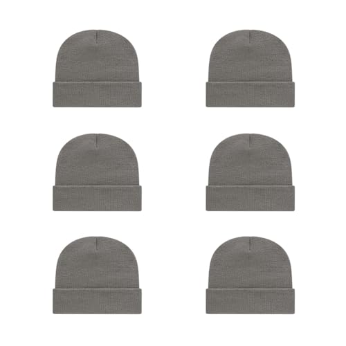 Cap America SKN24 6-Pack Recycled Pro Rib Tompkin Made in USA Knit Cap with Cuff | Bulkpack Available(Gray)