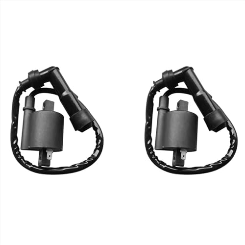Module d'allumage CDI pour Vstar 650 et XVS650 1999-2014 avec bobine de moto haute tension x2