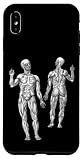 Vintage Anatomical Art