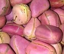 Obi Abata Cola acuminata Kolanuts 1lb