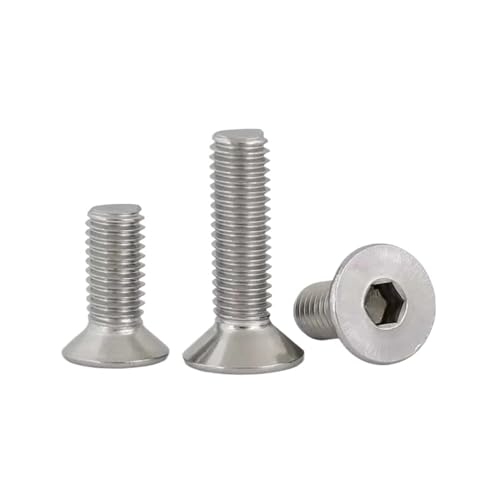 M3 M4 M5 M6 M8 304 ステンレス鋼 左ねじ 六角皿頭ねじ 逆ボルト ねじ込み ?(M5x10mm (10pcs))