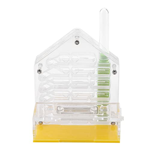 Formicario de Granja acrílica: Hábitat de Villa de Nido Transparente para Alimentación y Observación en Vivo, Juguete de Ciencias Educativas para Niños Adultos