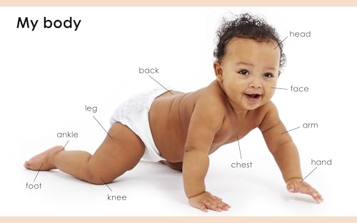 My First Body (My First Board Books) - Image 2