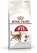 Produktbild Royal Canin FIT 32 Regular für aktive Katzen | 400 g | Alleinfuttermittel für ausgewachsene Katzen | Kann dabei hilfreich sein die Haarballenbildung zu reduzieren