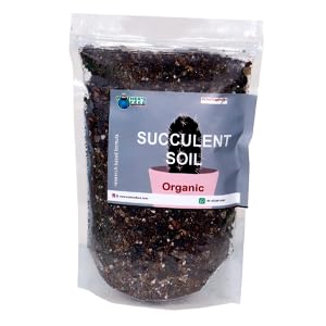Mothers feed Organic Succulent Soil 1Kg Granular (2-8mm) Potting Mix Contains Washed Cinder for Succulents, Cactus, Adenium, &Many More| (B09NGM551C) Amazon Price History, Amazon Price Tracker