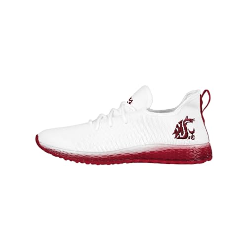 Image of FOCO NCAA Mens NCAA College Team Logo Athletic Shoes Sneakers