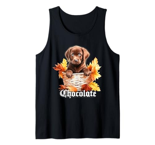 Chocolate Lab, Cucciolo carino, Labrador carino, Cucciolo Labrador nel cestino, Chocolate Labrador Lover, labrador retriever