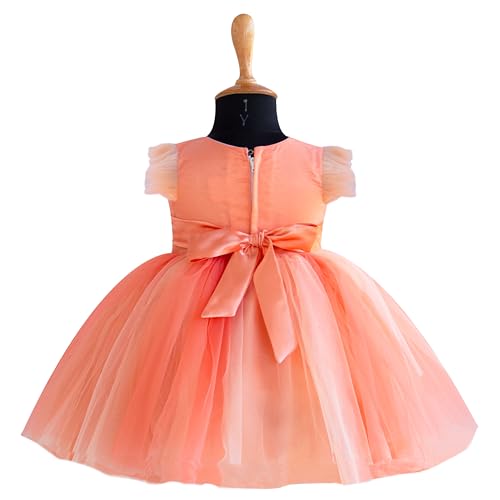 Image of Stanwells Kids Baby Net Dress for Baby Girl Birthday Summer Dress